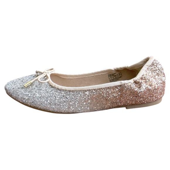 Sam Edelman Other - NWT Sam Edelman Felicia Gradient Ballerina Flats Size 5